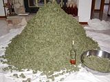 mound of weed