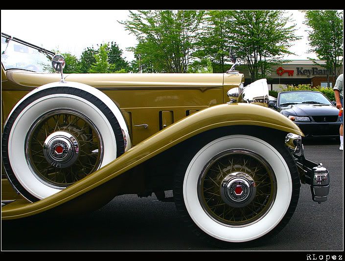 IMAGE: http://i302.photobucket.com/albums/nn100/velmaxcreeper/Picture-003.jpg