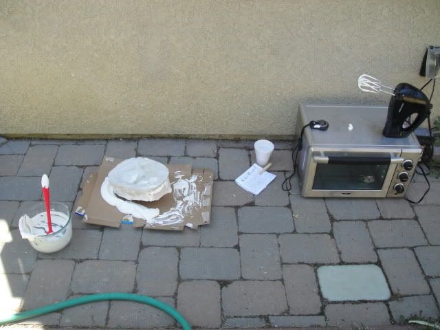 DSC07310.jpg