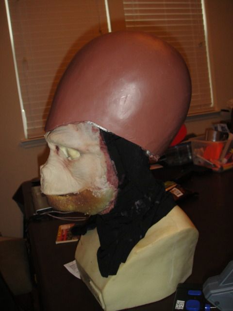 DSC08134.jpg