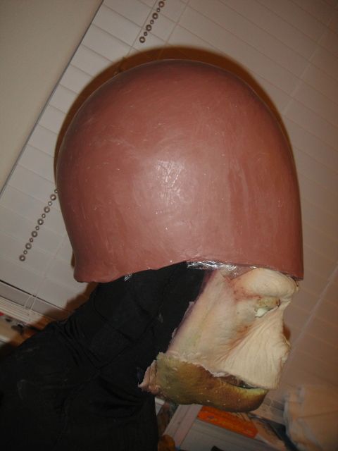 DSC08239.jpg