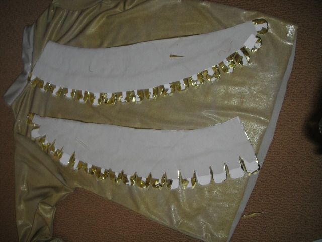 DSC08331.jpg