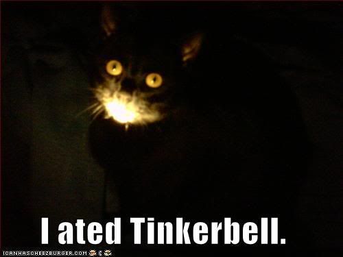 poor tinkerbell