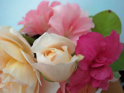 rosas-colores.jpg picture by daphe1978_album