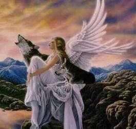angel and wolf Pictures, Images and Photos
