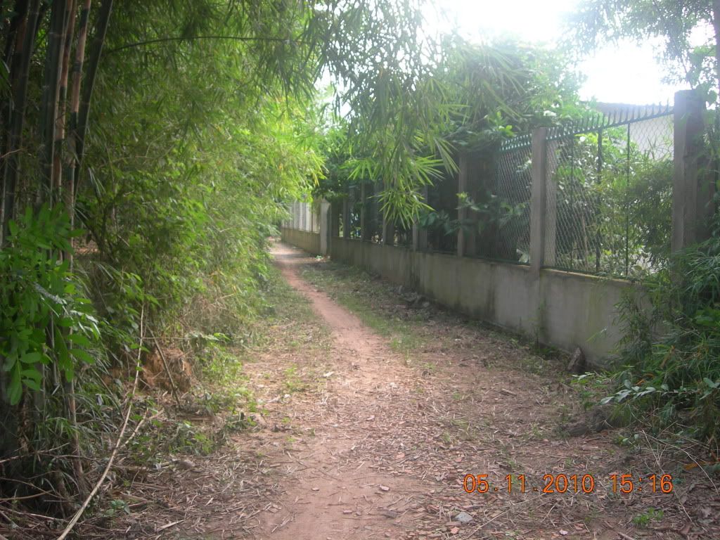 Bán đất Bình Dương giá rẻ đây. - 8