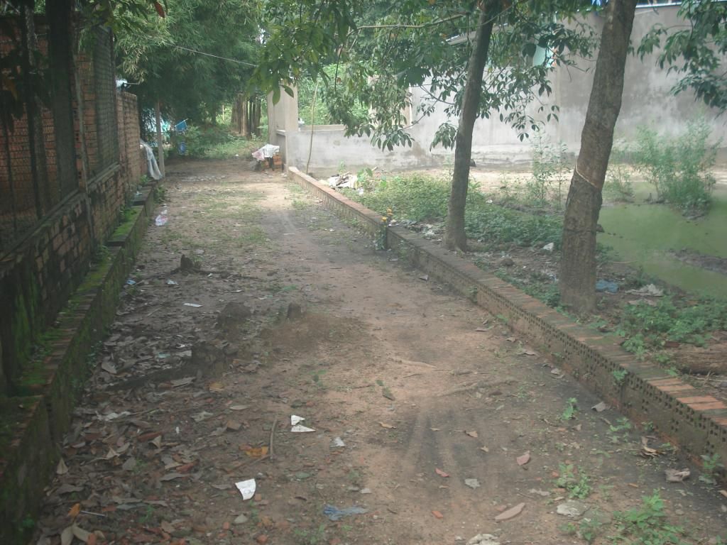 Bán đất Bình Dương giá rẻ đây. - 9