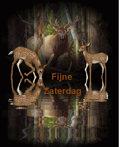 fijne zaterdag photo: fijne zaterdag xgi69v.gif