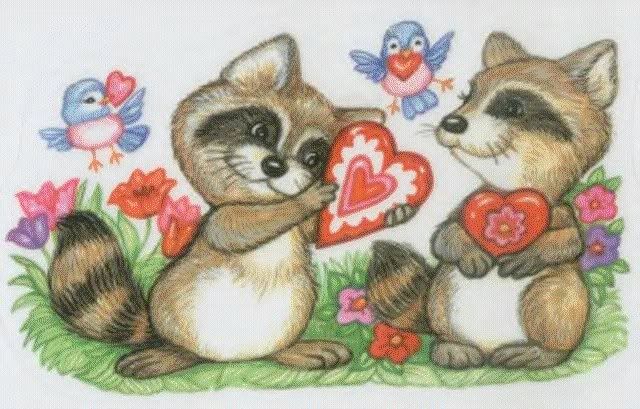 Love Raccoon