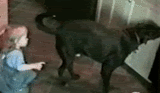 1195462938jopant9.gif Mod the dog. image by fastdarter