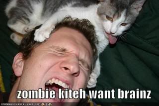 proto-zombeh-kitteh-attack