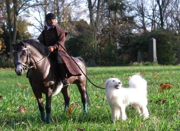 ride in the park