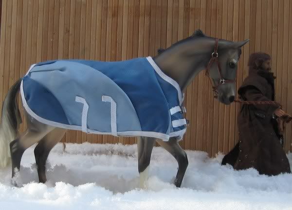 Rimfrost im Schnee