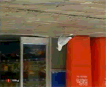lunapic_131292870973241_1.gif