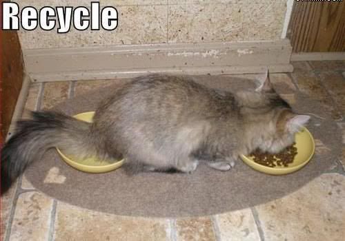 recycle.jpg