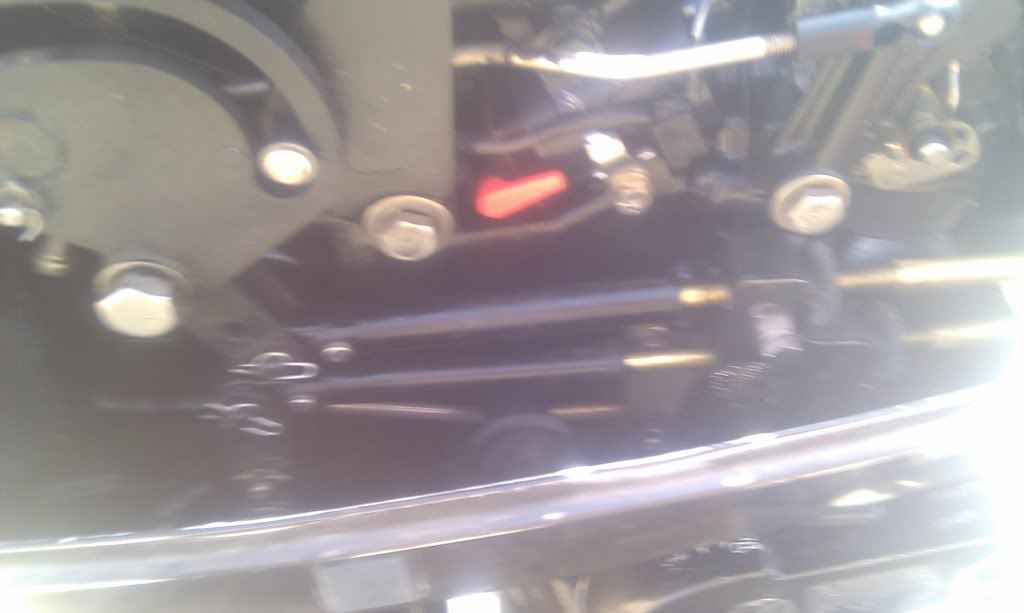 IMAG0177.jpg