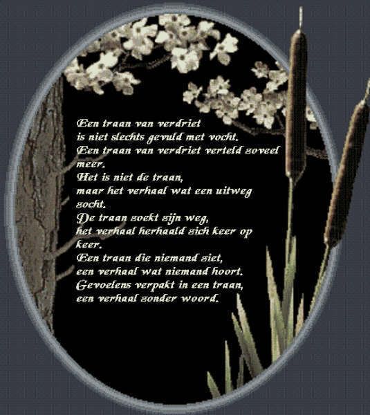 Eentraan.jpg gedicht image by Hannie1611