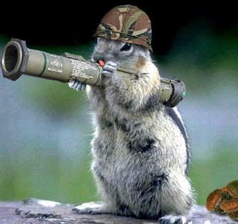 attack-squirrel-pictures-bazooka.jpg