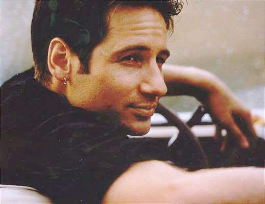 david duchovny hot. 2010 David Duchovny Hot Or Not