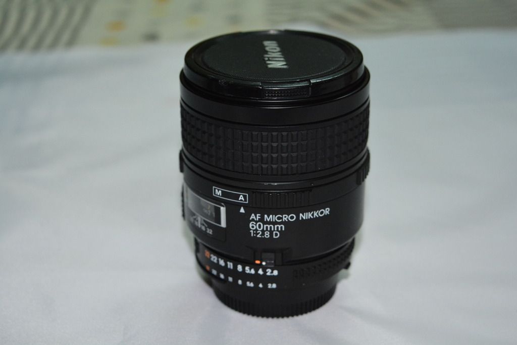 Bán máy ảnh D7100 <4500 shot con bảo hành- Len nikon - 5