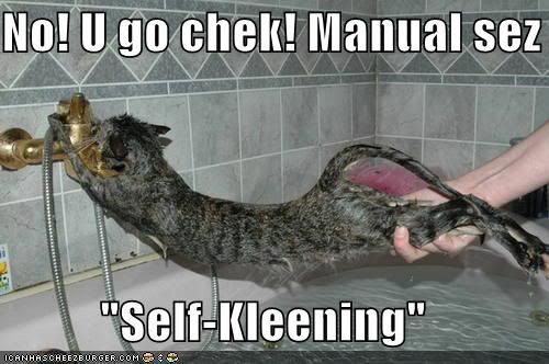 funny-pictures-cat-bath-self-cleani.jpg