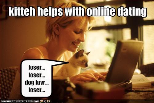 funny-pictures-cat-helps-with-onlin.jpg