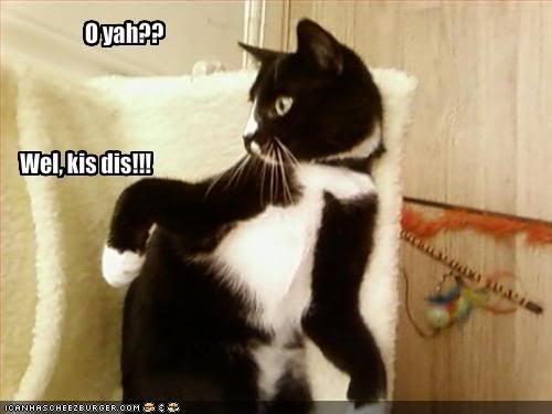 funny-pictures-cat-tells-you-to-kis.jpg