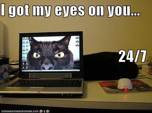 funny-pictures-your-cat-has-his-eye.jpg