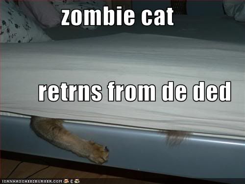 funny-pictures-zombie-cat-returns-f.jpg