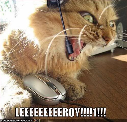 lolcats-funny-pictures-leroy-jenkin.jpg