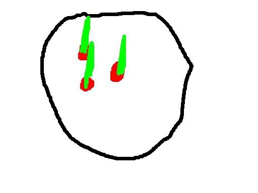 Immagine.jpg