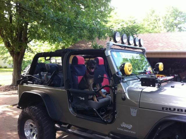 How safe are jeep wranglers for babies #1