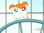hamtaro Pictures, Images and Photos