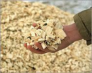 Wood Chips
