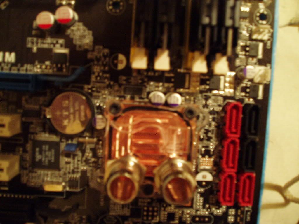 P6120030.jpg