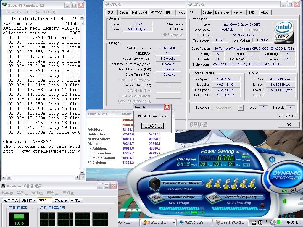 DES-2-BURNIN-PI.jpg