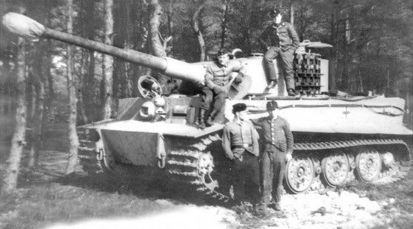 tiger37.jpg