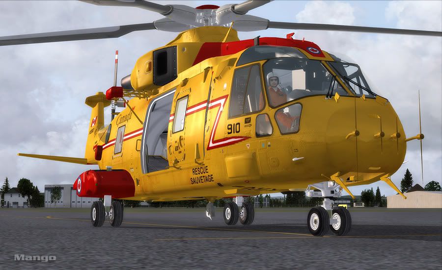 first step rc heli 101