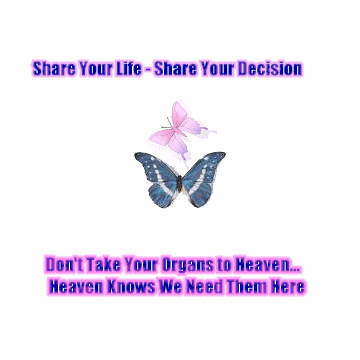 butterfly organ donor