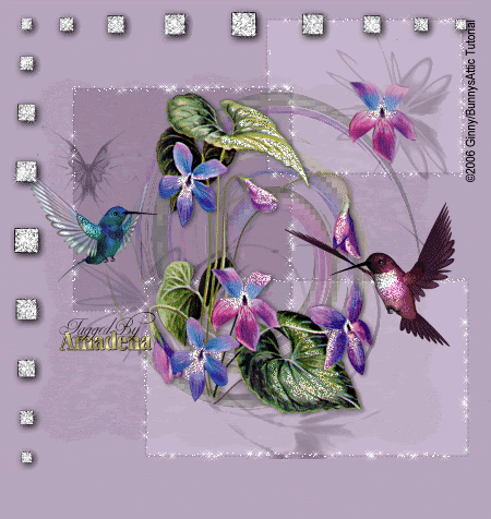 Ginny20Tut20Pretty20Violets20Amaden.gif FLOWERS image by sweetfriend_album