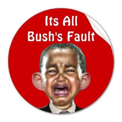 its_all_bushs_fault_sticker-p217039.jpg