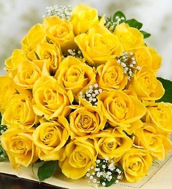 16144z.jpg rosas amarillas image by chatveteranos