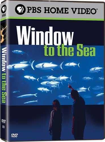 PBS HD: Window to the Sea aqua