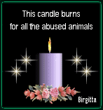 Candle Burning for Abused Animals Pictures, Images and Photos