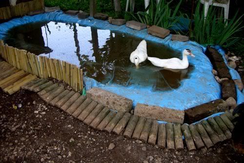 n11.jpg