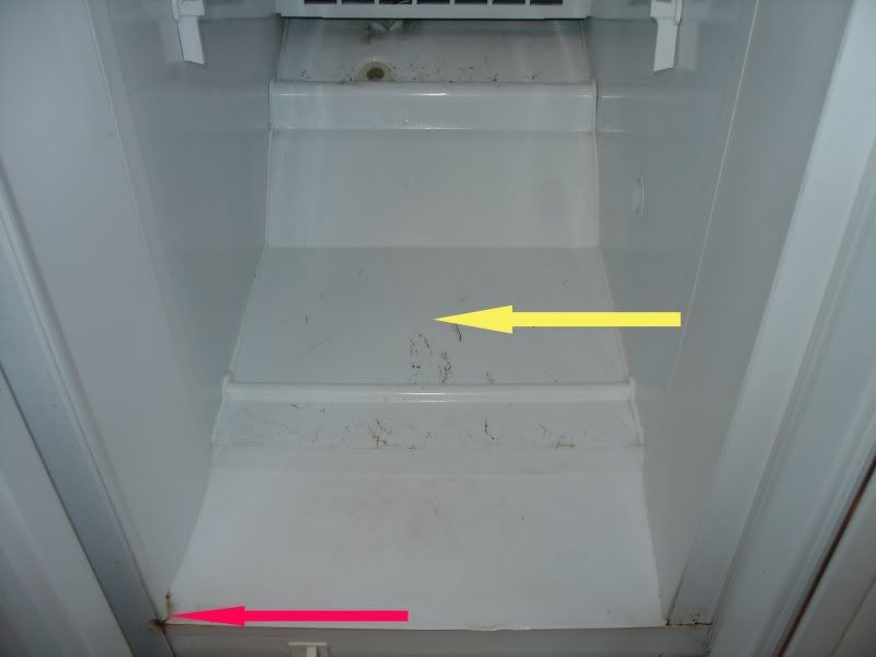 Freezers Freezer Leaking Water