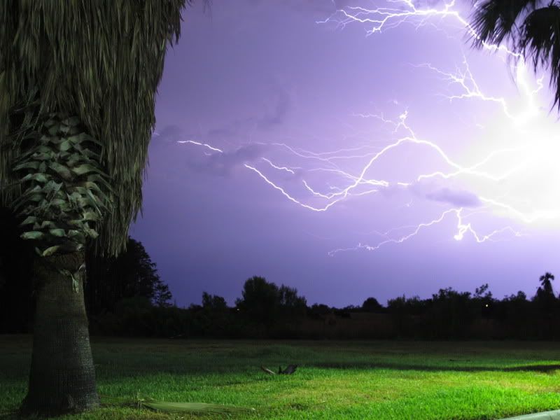 IMAGE: http://i302.photobucket.com/albums/nn84/kezug/Disney2011710.jpg