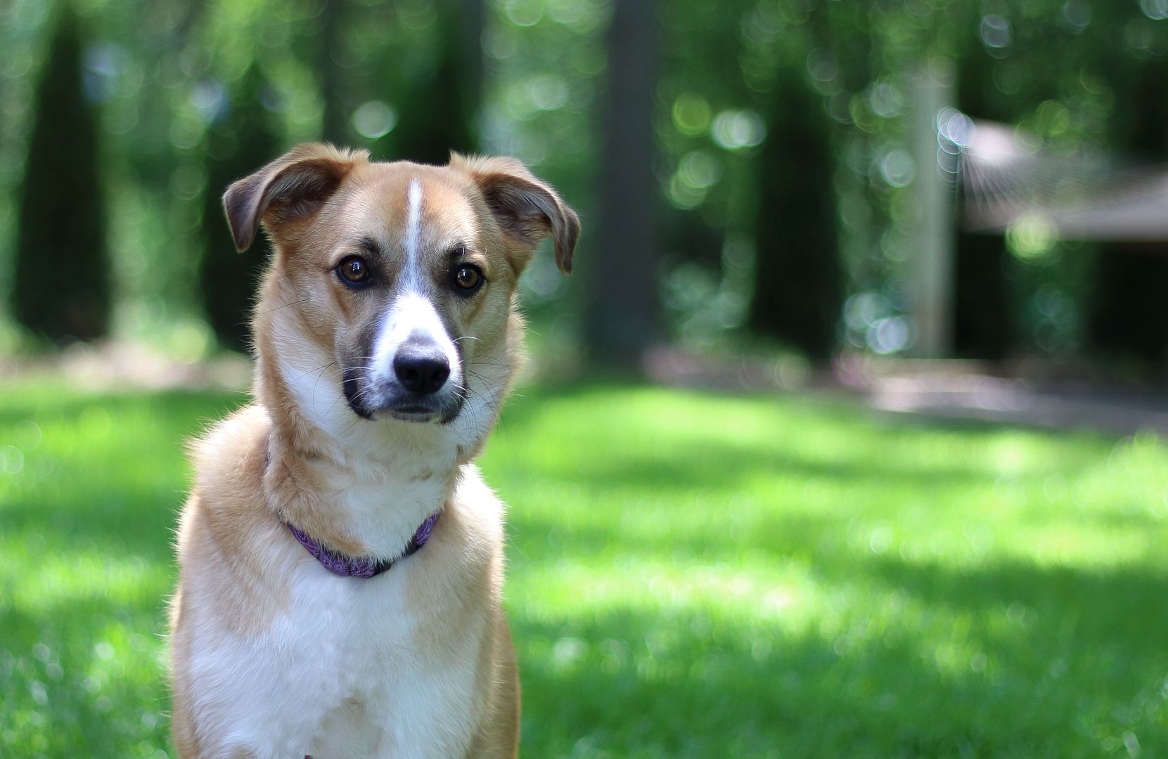 IMAGE: http://i302.photobucket.com/albums/nn84/kezug/IMG_6187b_zps625a2cac.jpg