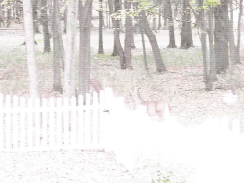 IMAGE: http://i302.photobucket.com/albums/nn84/kezug/IMG_9277.jpg