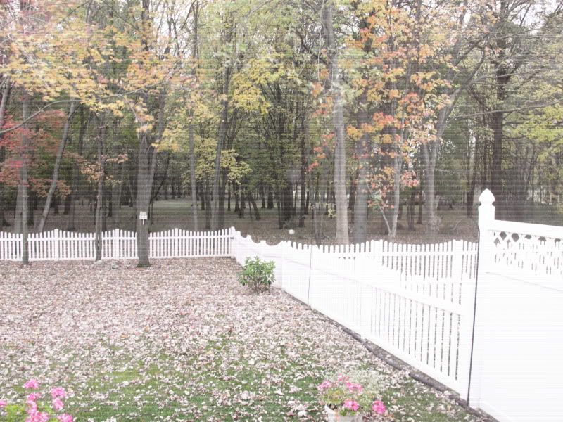 IMAGE: http://i302.photobucket.com/albums/nn84/kezug/IMG_9279.jpg